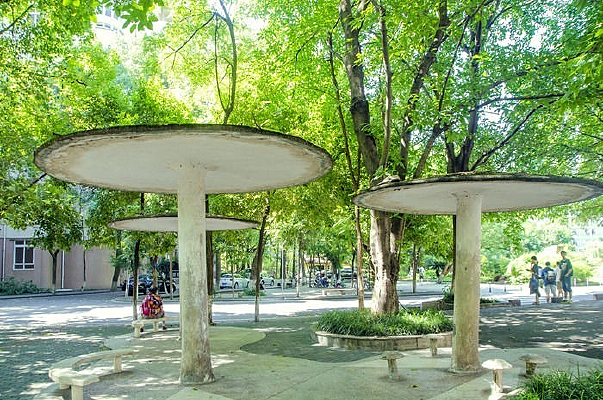 ������ͤ