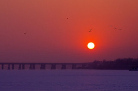 ����������ɫ