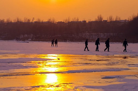 �����ƺ�����