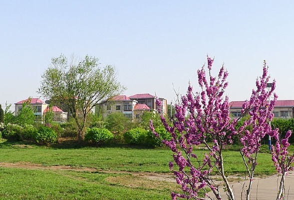 С���̵ػ���