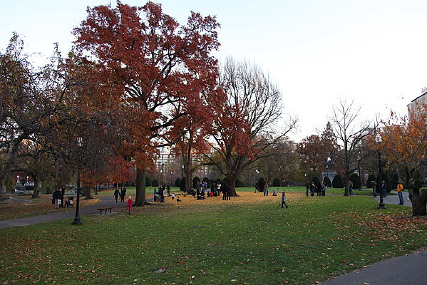 �ۼ�����