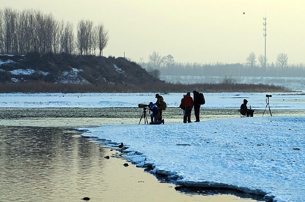 �ƻ������