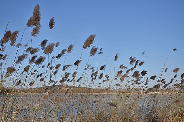 ����«έ��д