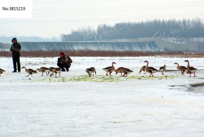 ����������Ӿ���ͼƬ