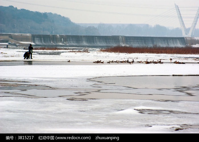 ������Ӷ�����ɫͼƬ