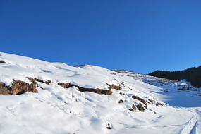 �½�������