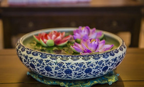 ��������