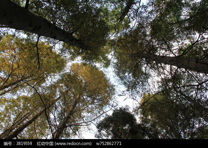 ��԰ ������� ʵ��Ч��ͼƬ