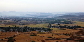 ������Ұ