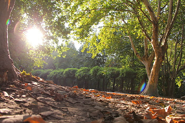 �����µĴ���