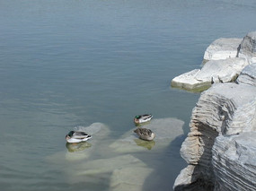 ������Ϣ��ҰѼ