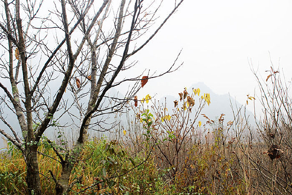 �����Ӳ�