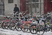 ѩ�����г�