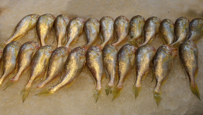 �䶳С����