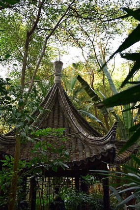 ���е�ͤ��