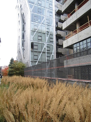 �����ٵ�