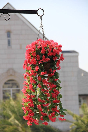 ��ɫ�������ʻ�