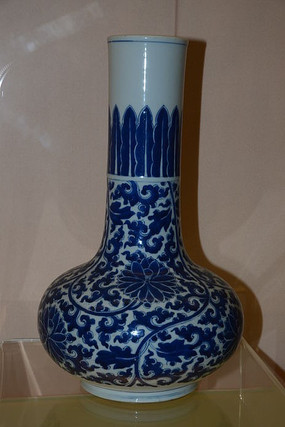 �������໨��֦��