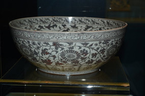 ������֦������