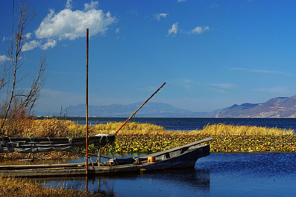 ����ʪ��