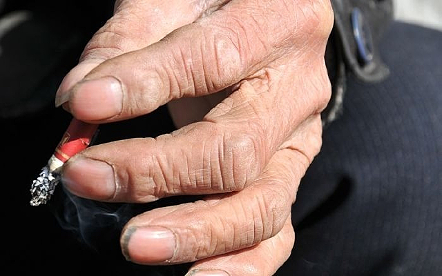 ���ϵ�����