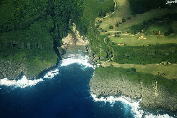 �߶�����