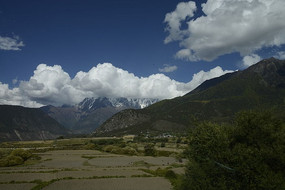 ɽ���µ���Ұ