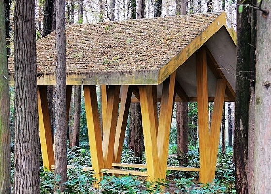 Ư����С��