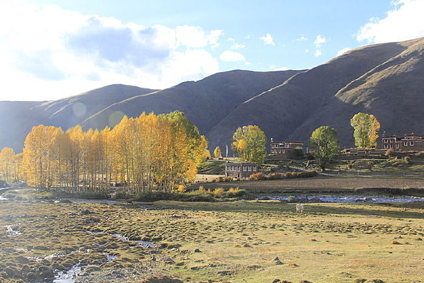 ������ԡ����