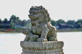 ʨ������