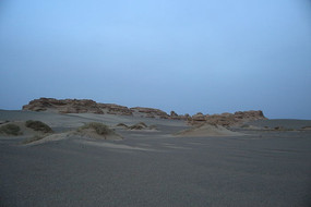 �ŵ�����