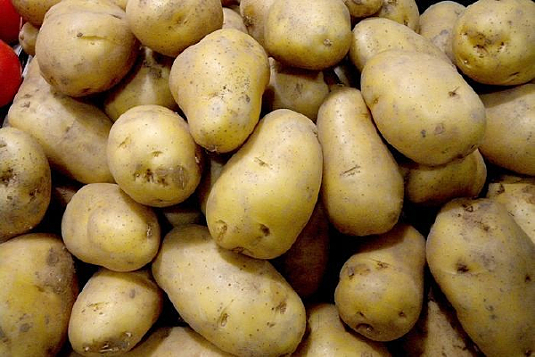 ��������ɽ��