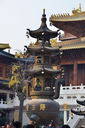 ��������¯