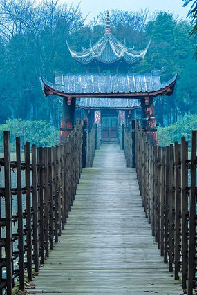 �����߹Ž���