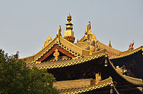 �������ݶ�