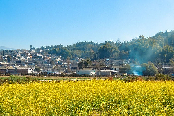 �����Ͳ˻�