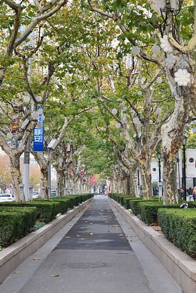 �Ϻ��Ͼ���·