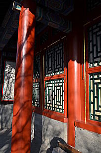 ��ľ����