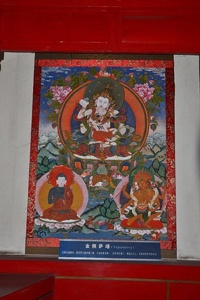 �����ڵ�