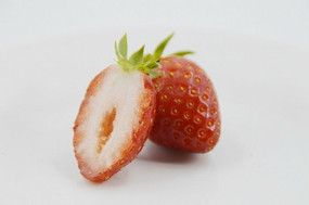 ʳ�����㱳��