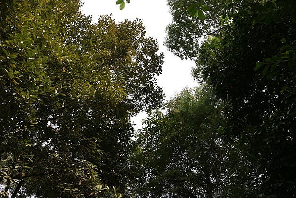 ïʢ������