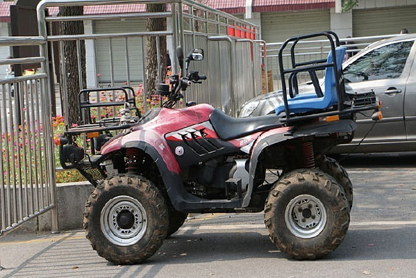 ɽ������