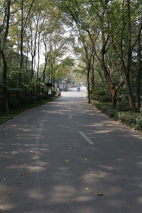 ɭ�ֵ�·��ͨ