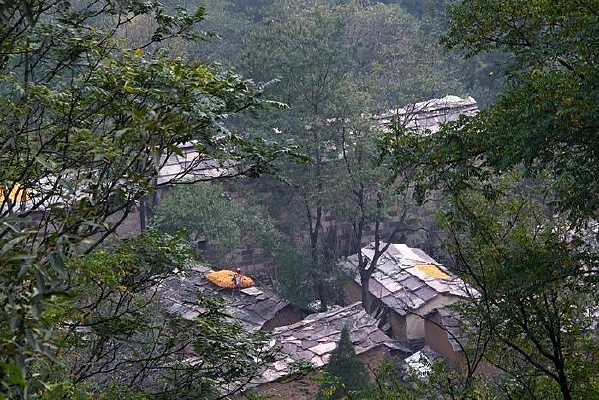 ��ɹ����