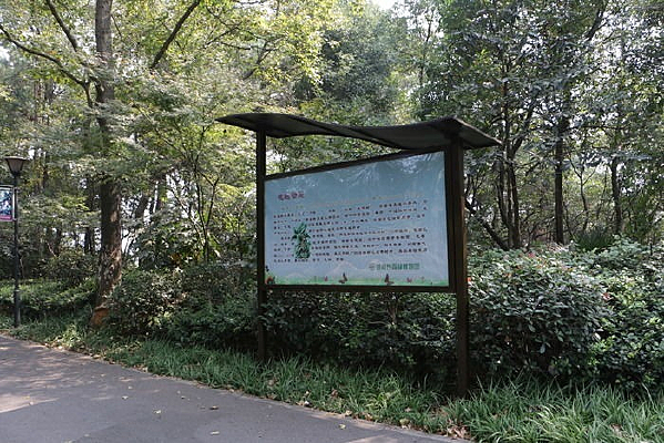 �羰�������