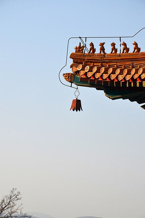 ͤ������