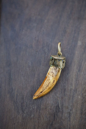 ������׹