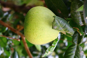 �����й�ʵ