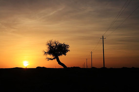 �ƻ�һ����