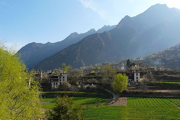 �Ĵ���·�����